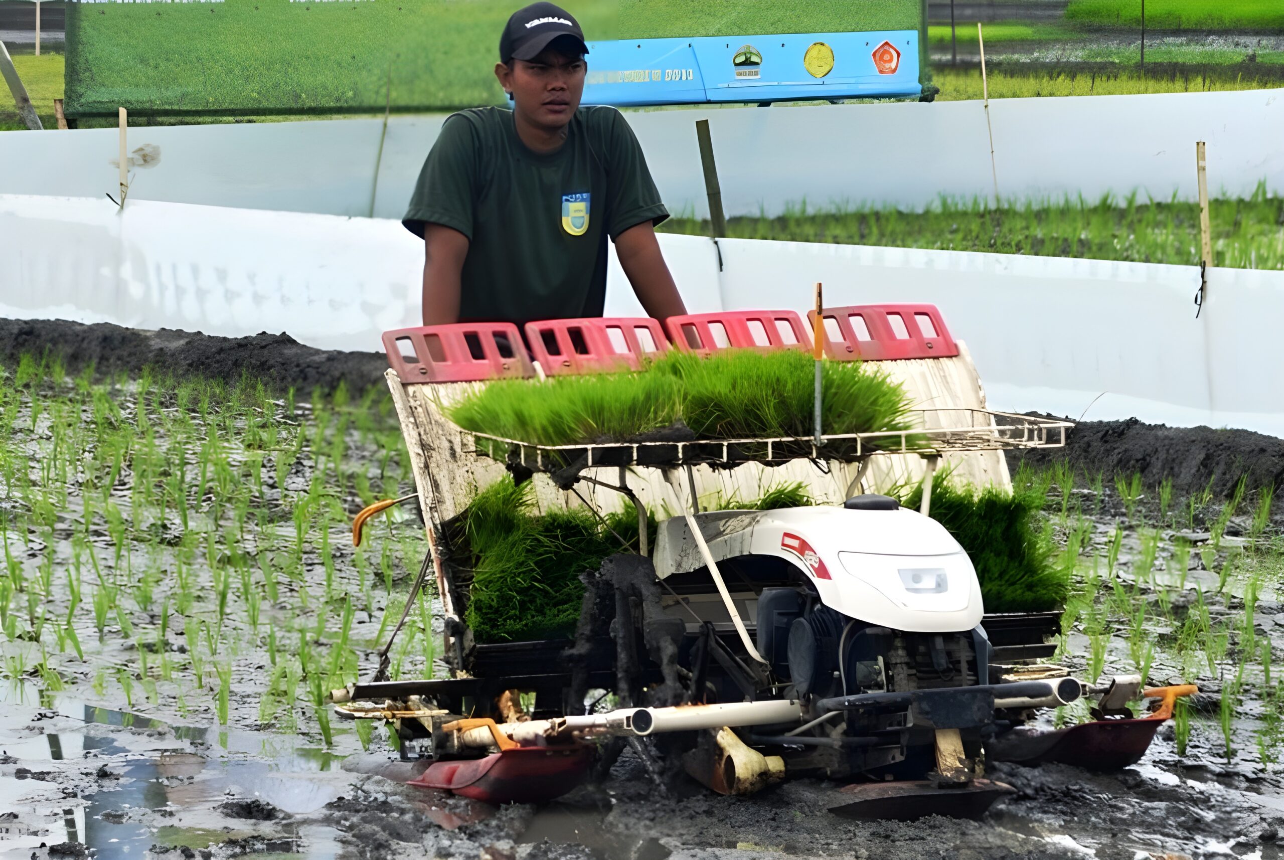 Pengaruh Modernisasi Digital terhadap Struktur Ekonomi Pedesaan di Indonesia